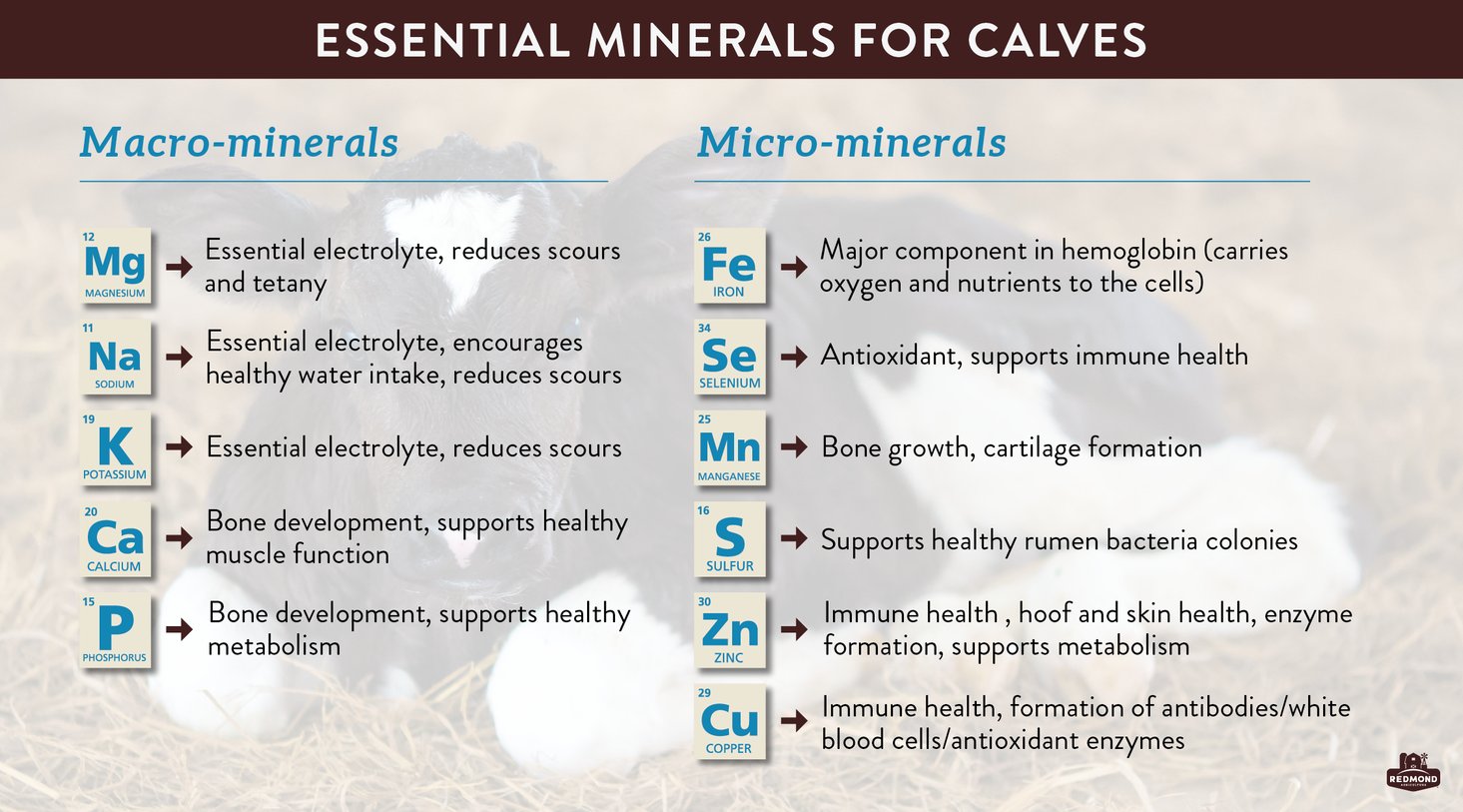 Minerals For Calves